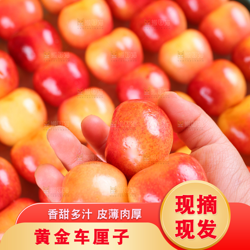 浅底上的黄金车厘子
