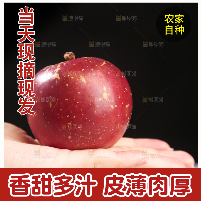 浅底上的昭通丑苹果
