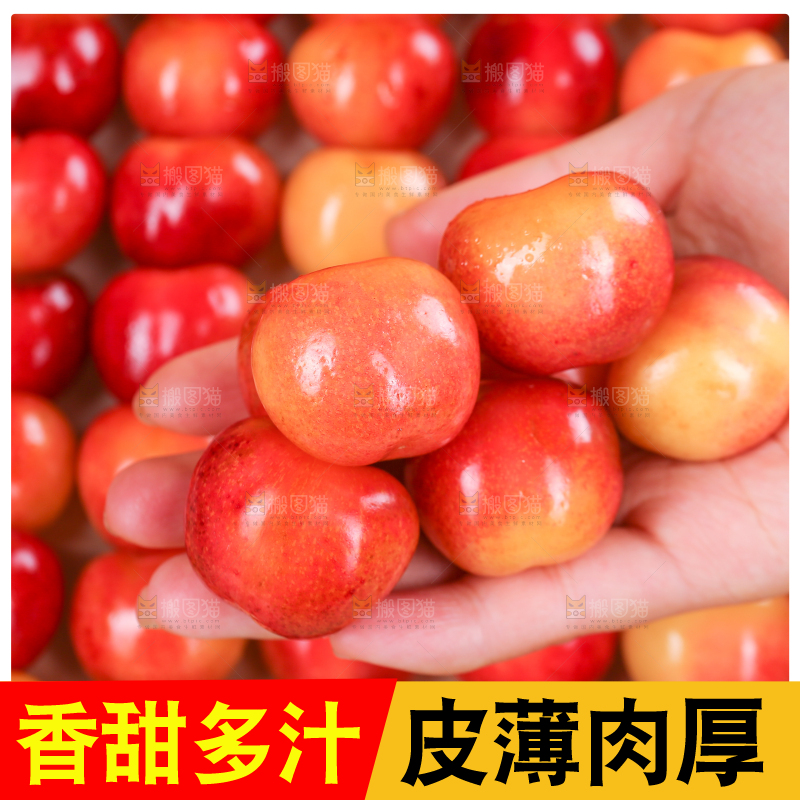 浅底上的黄金车厘子