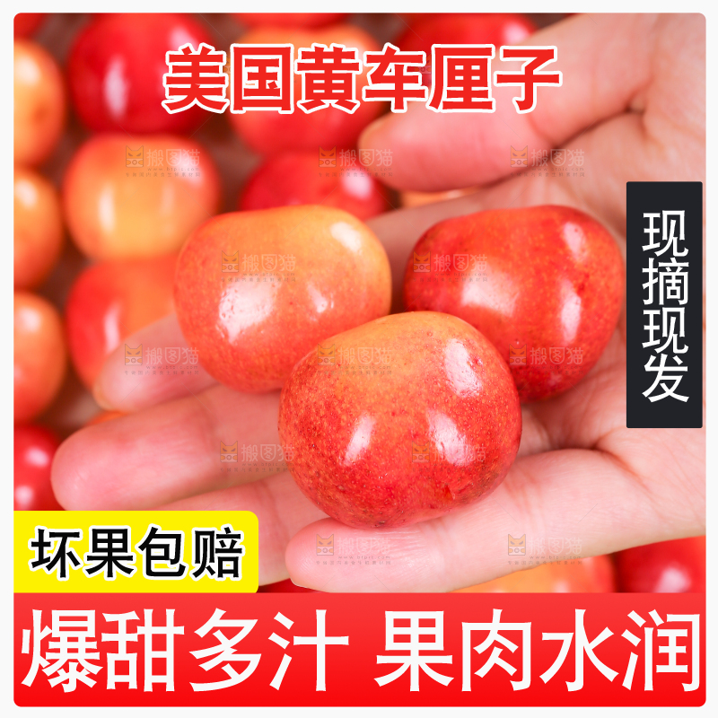 浅底上的黄金车厘子