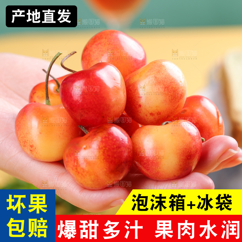 浅底上的黄金车厘子