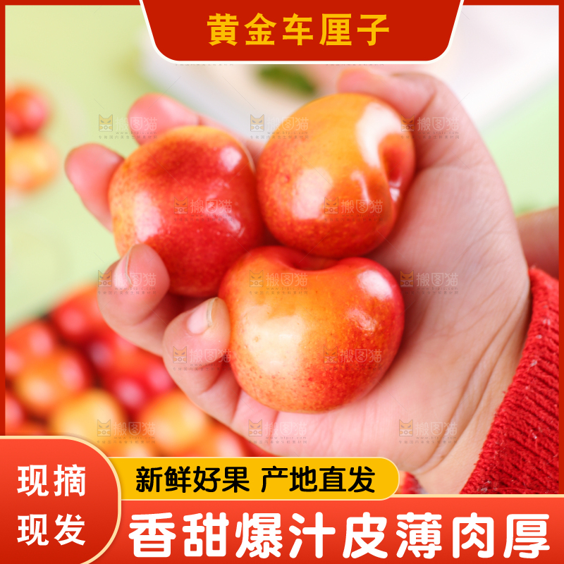 浅底上的黄金车厘子