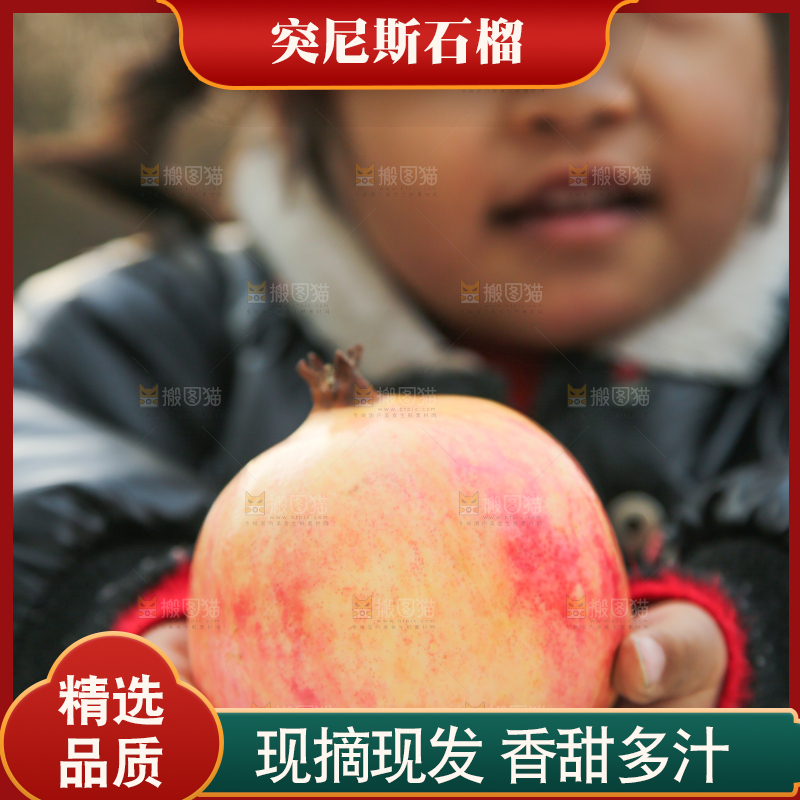 手里拿着突尼斯石榴