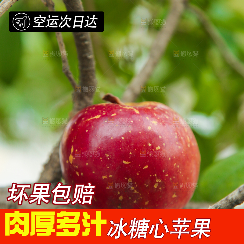 手里拿着昭通丑苹果