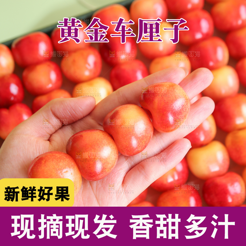 浅底上的黄金车厘子