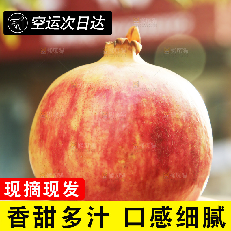 手里拿着突尼斯石榴