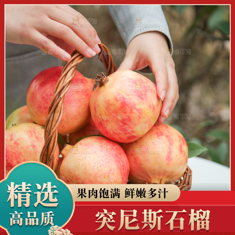手里拿着突尼斯石榴