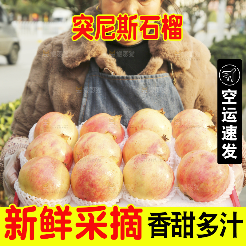 手里拿着突尼斯石榴