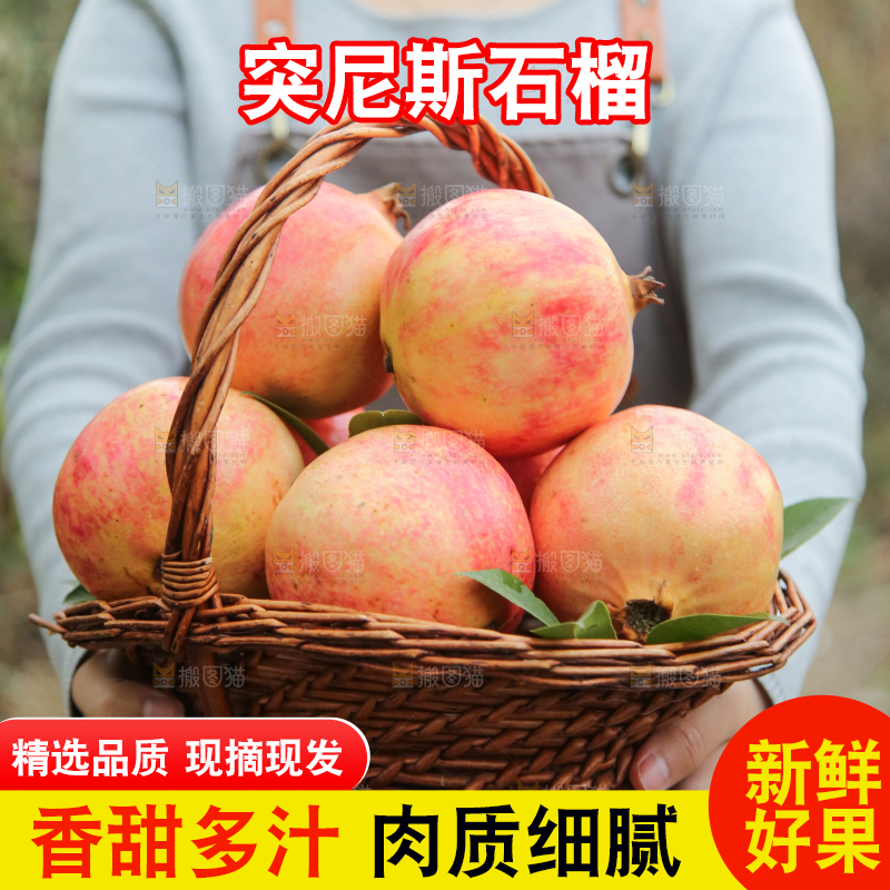 手里拿着突尼斯石榴