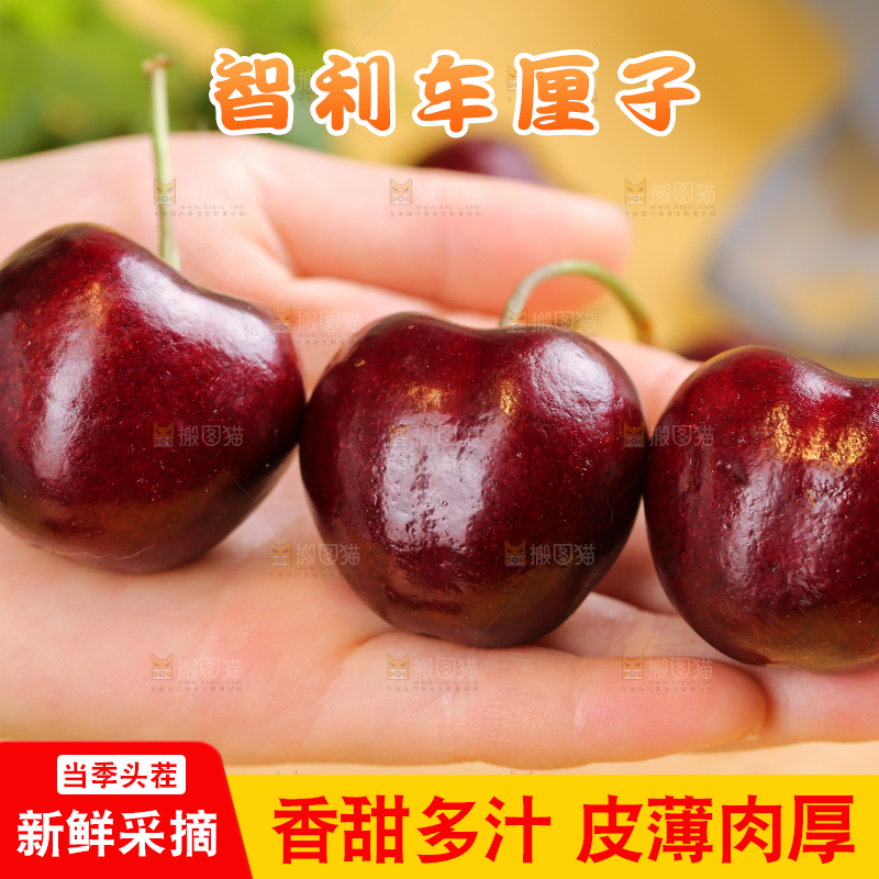 浅底上的智利车厘子