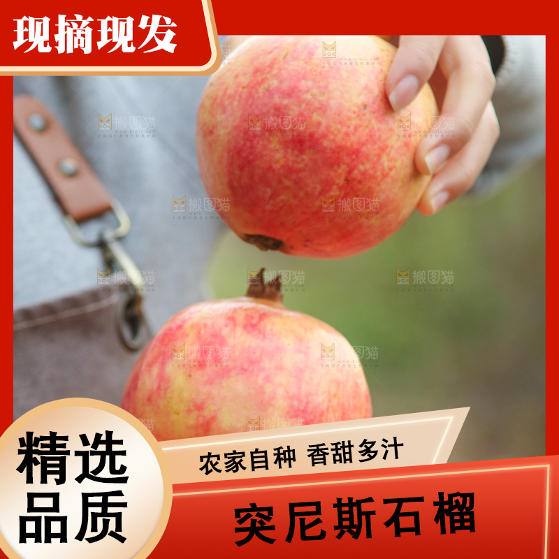 手里拿着突尼斯石榴