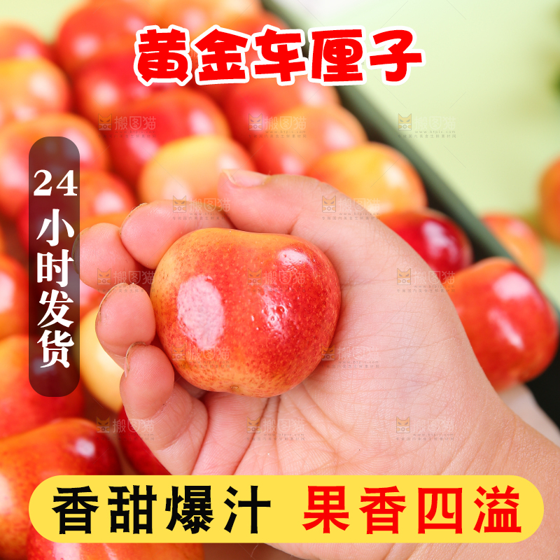 浅底上的黄金车厘子