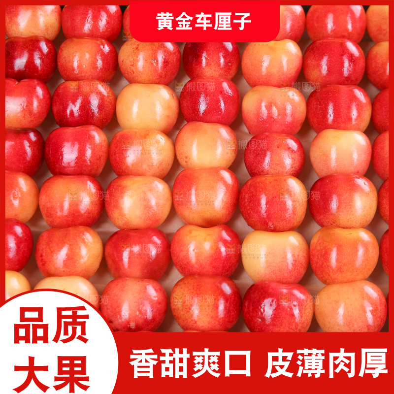 浅底上的黄金车厘子