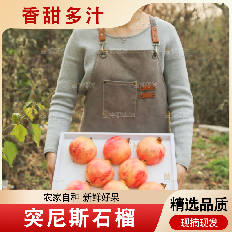 手里拿着突尼斯石榴