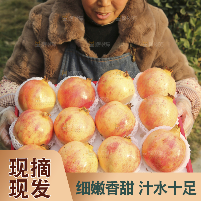 手里拿着突尼斯石榴