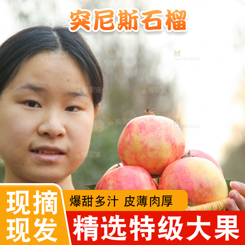 手里拿着突尼斯石榴