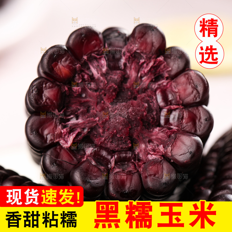 浅底上的黑糯玉米