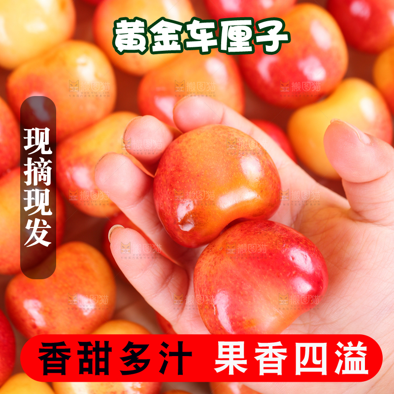 浅底上的黄金车厘子