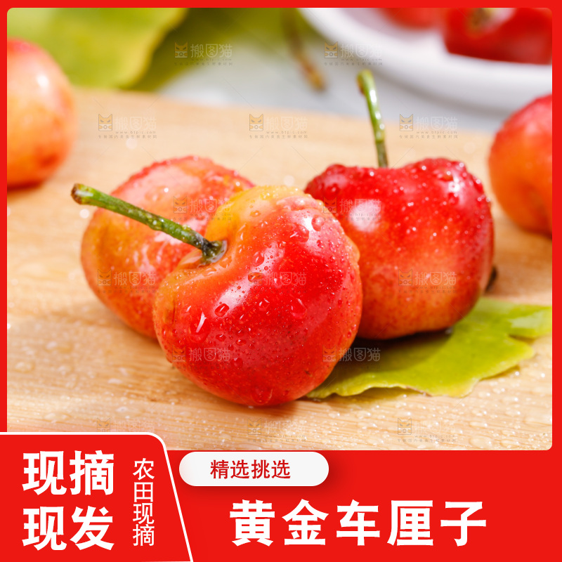 浅底上的黄金车厘子