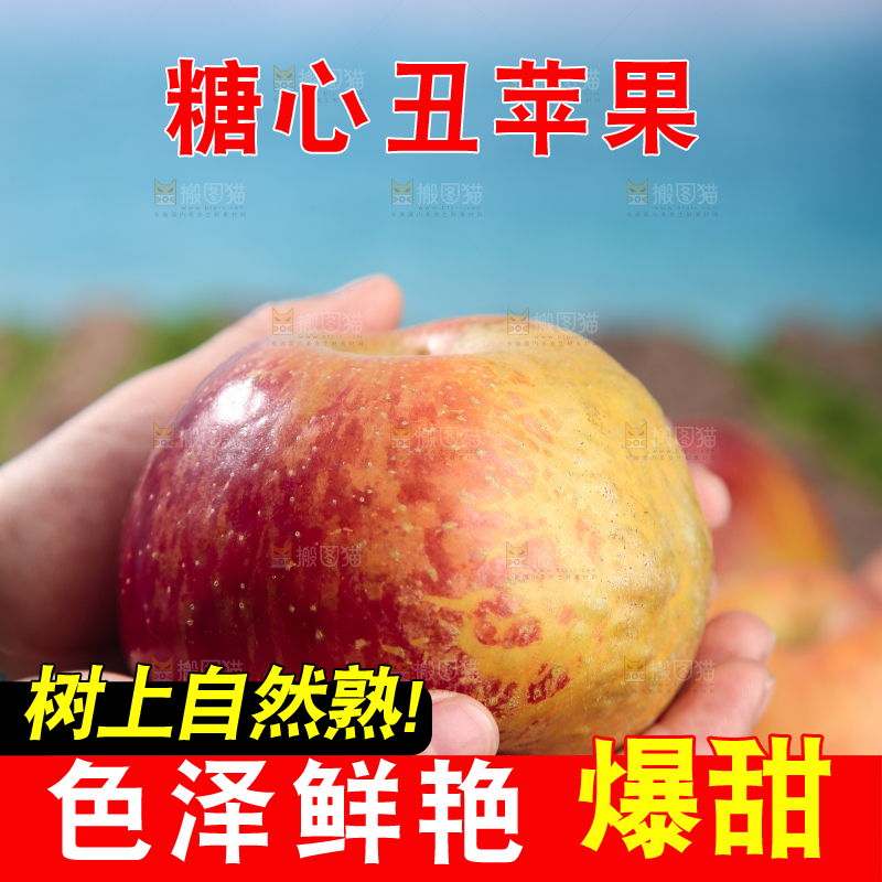 手里拿着昭通丑苹果