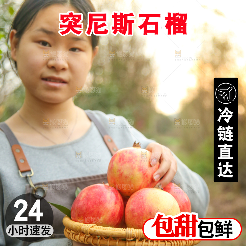 手里拿着突尼斯石榴