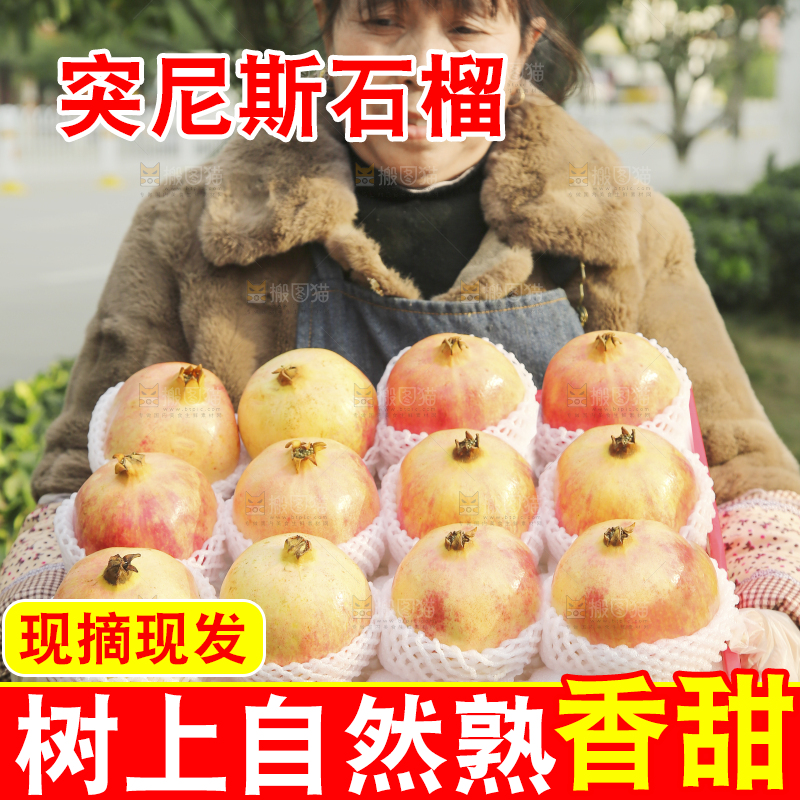 手里拿着突尼斯石榴