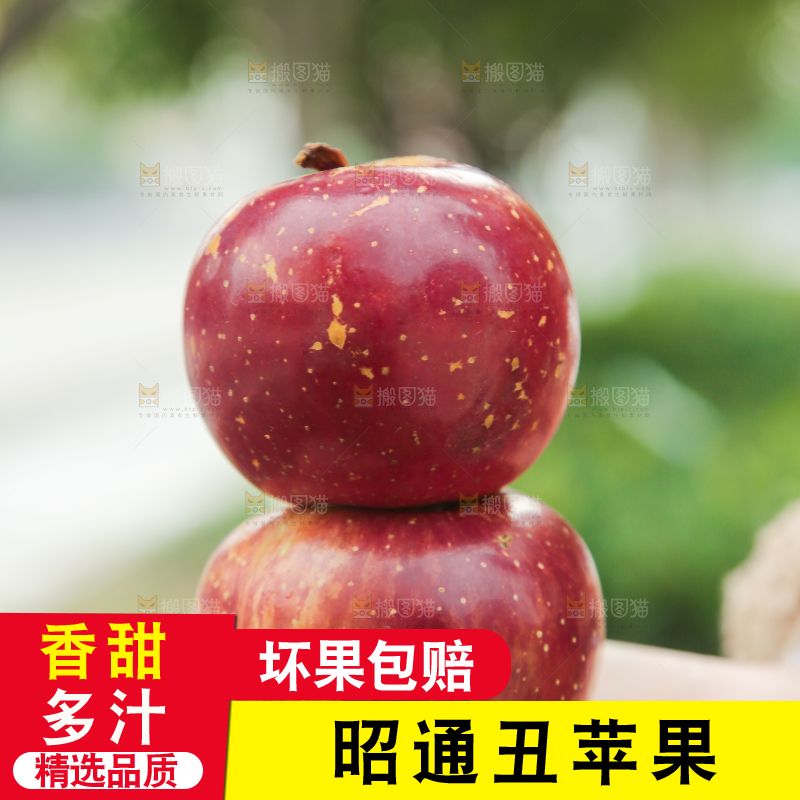 手里拿着昭通丑苹果