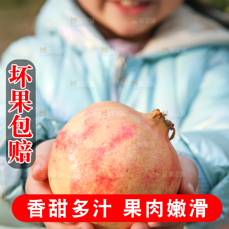 手里拿着突尼斯石榴