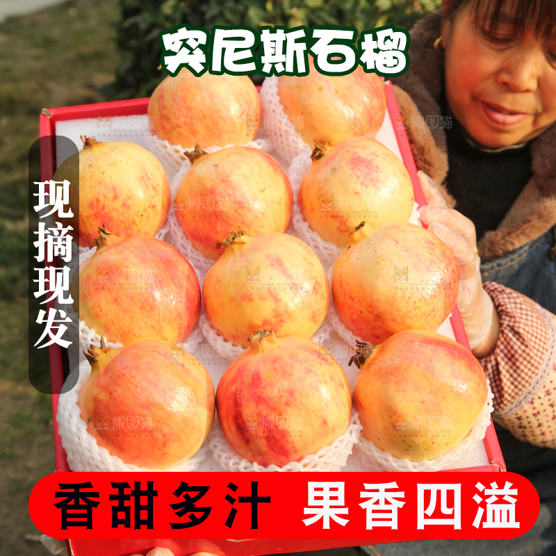 手里拿着突尼斯石榴