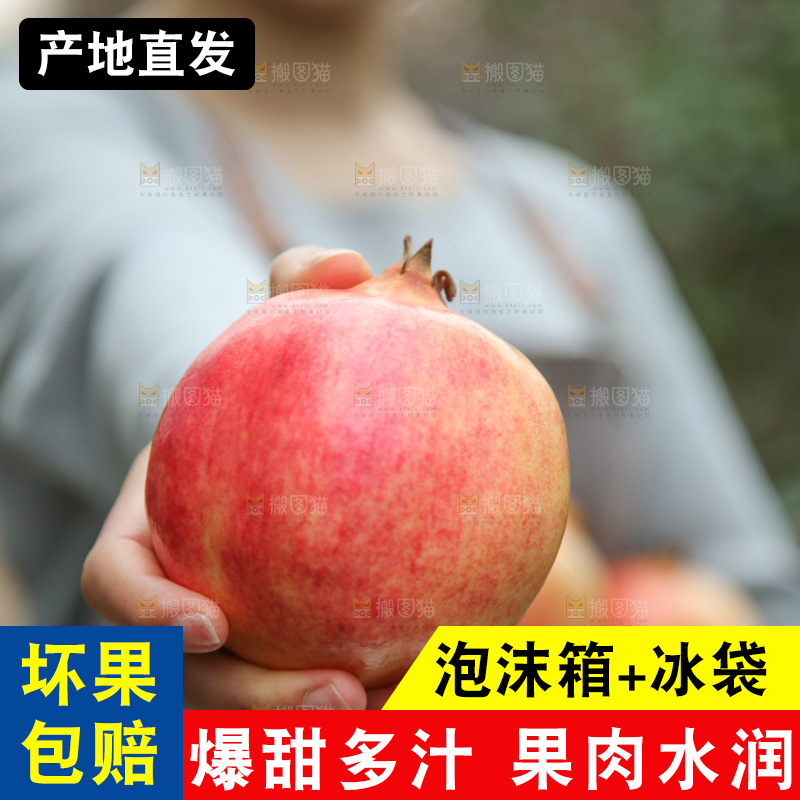 手里拿着突尼斯石榴