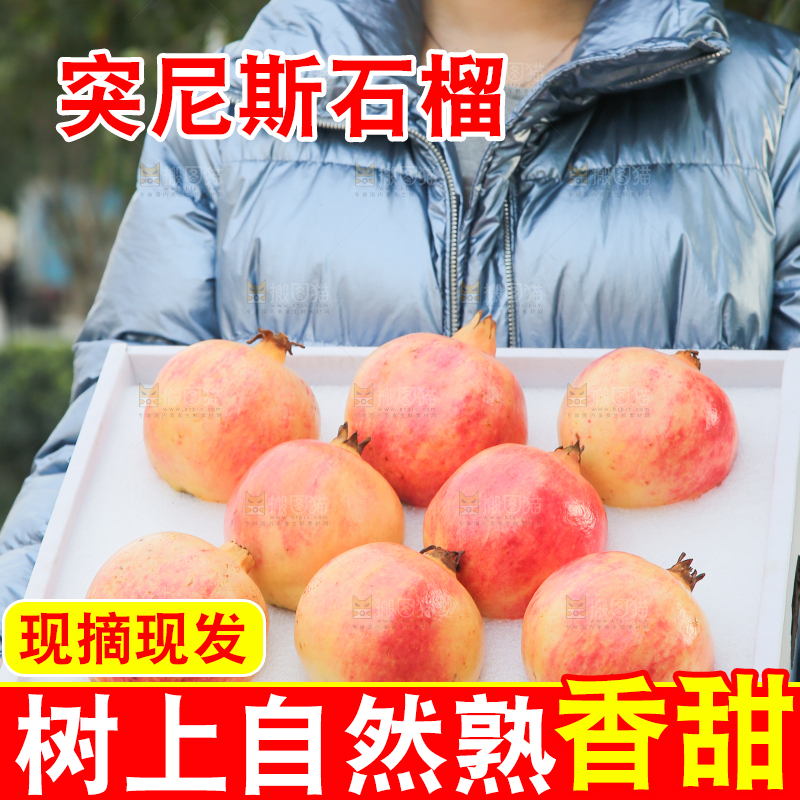 手里拿着突尼斯石榴