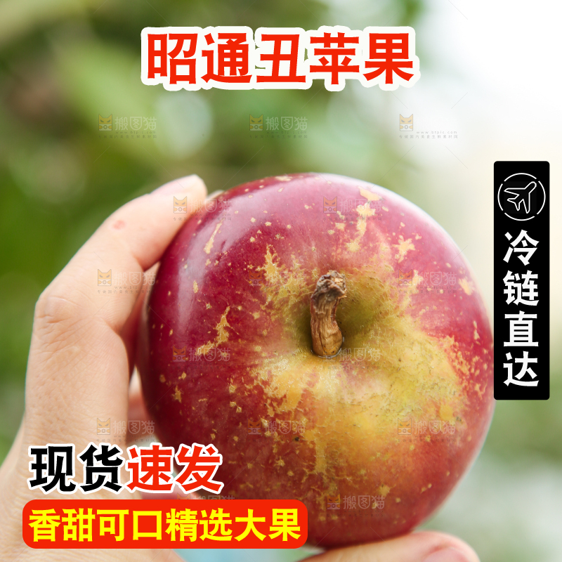 手里拿着昭通丑苹果