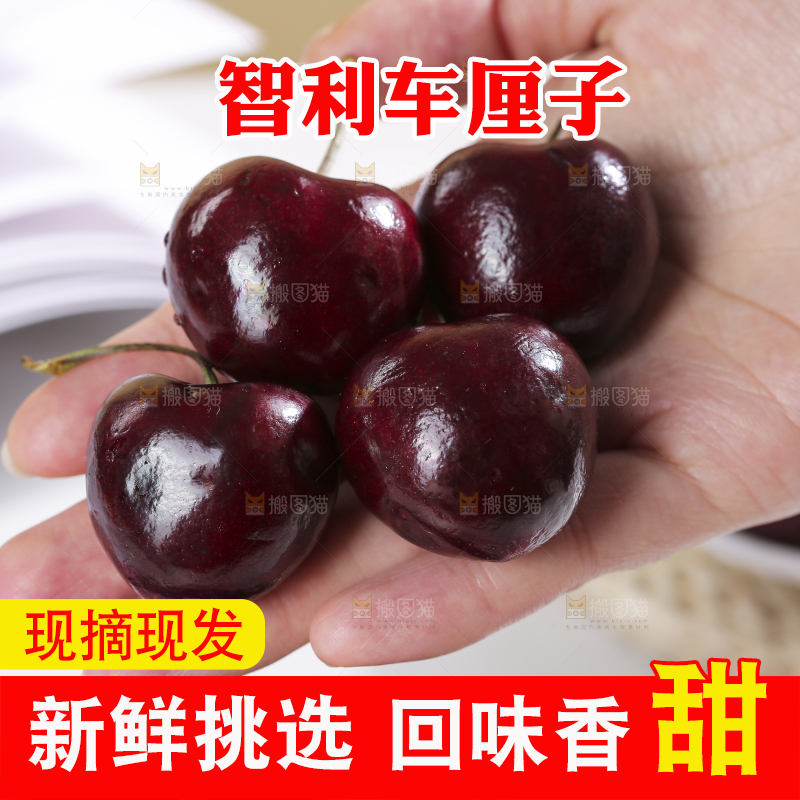 浅底上的智利车厘子