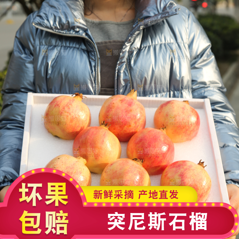 手里拿着突尼斯石榴