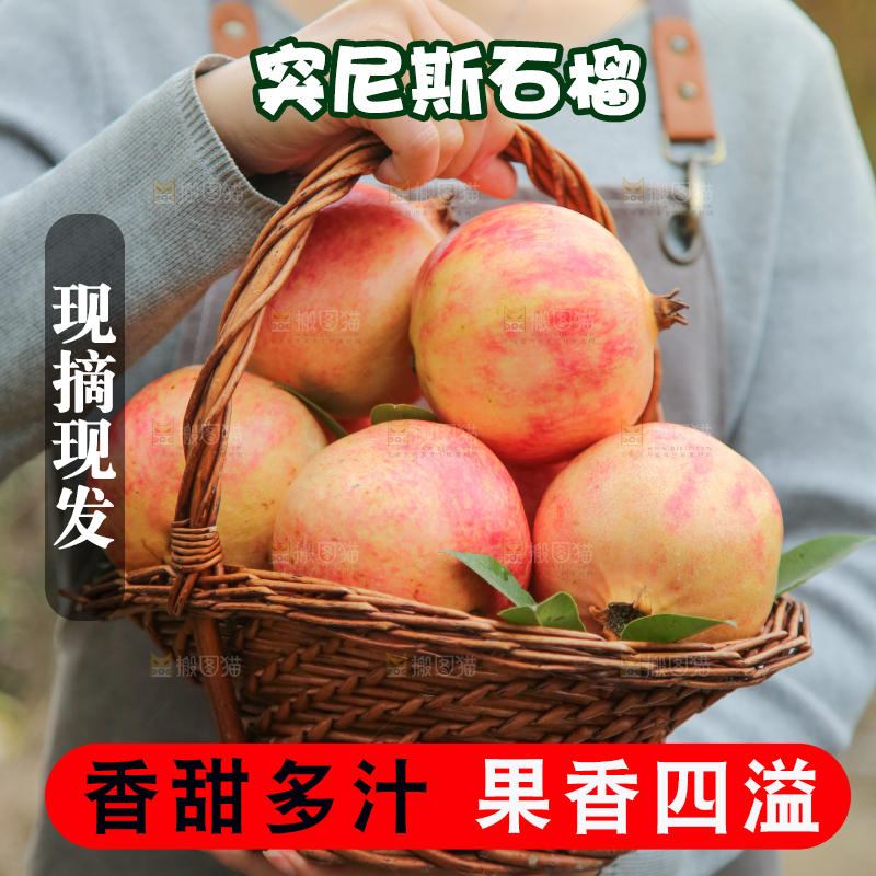 手里拿着突尼斯石榴