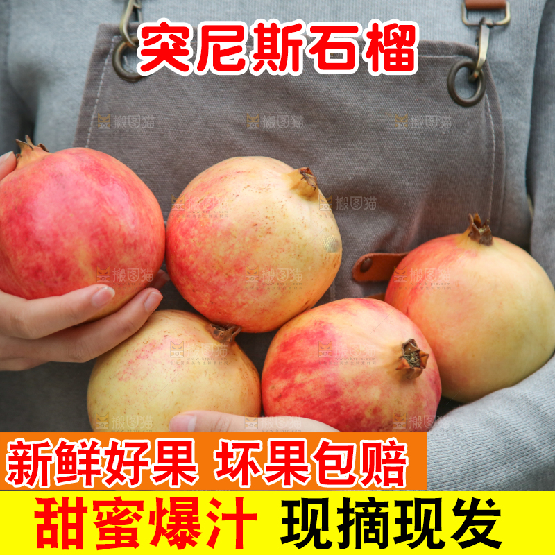 手里拿着突尼斯石榴