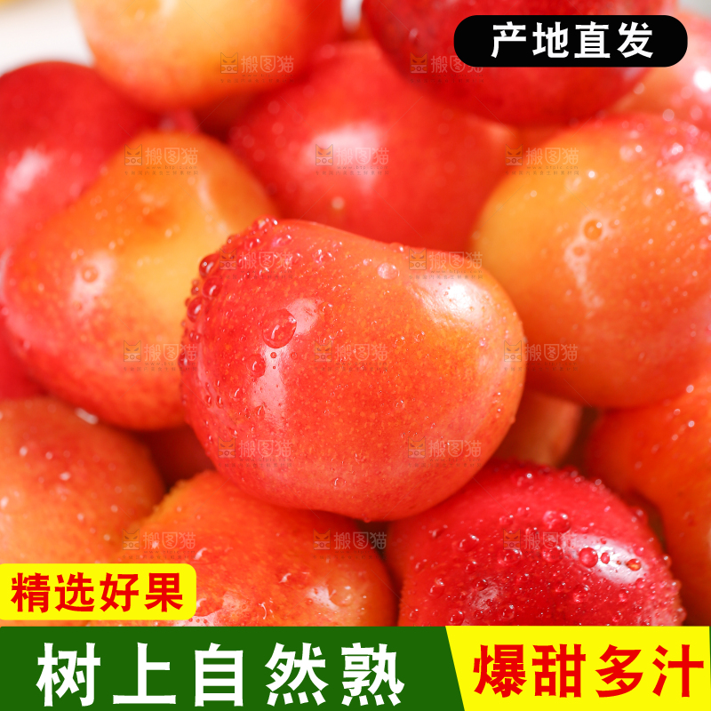 浅底上的黄金车厘子