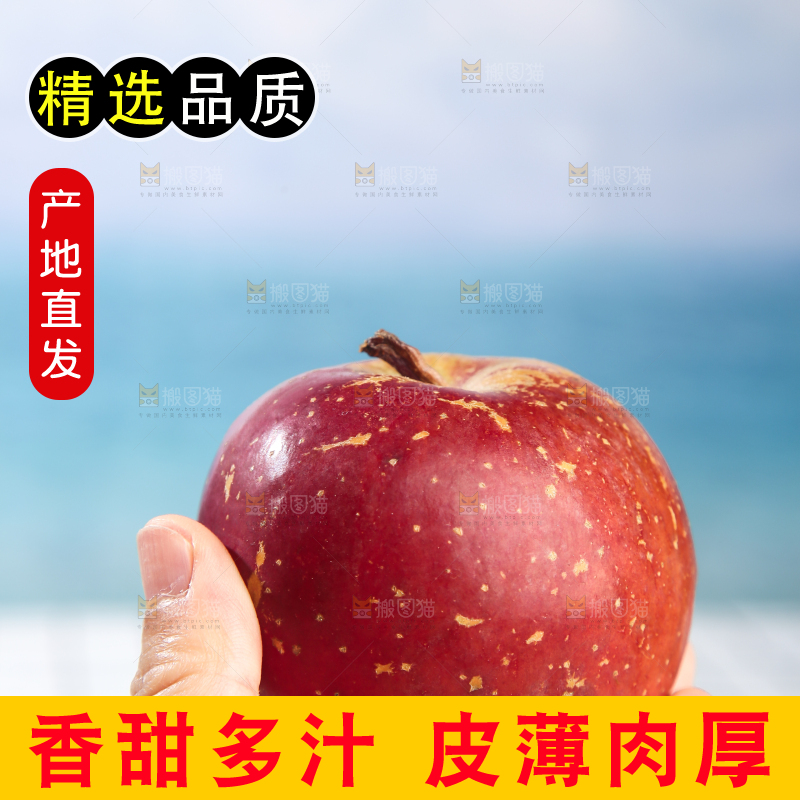 浅底上的昭通丑苹果