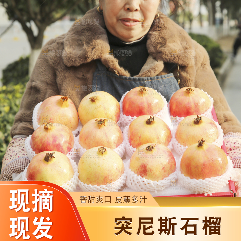 手里拿着突尼斯石榴