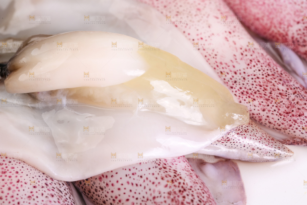 深底上的海兔