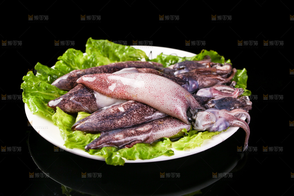 黑底上的海兔