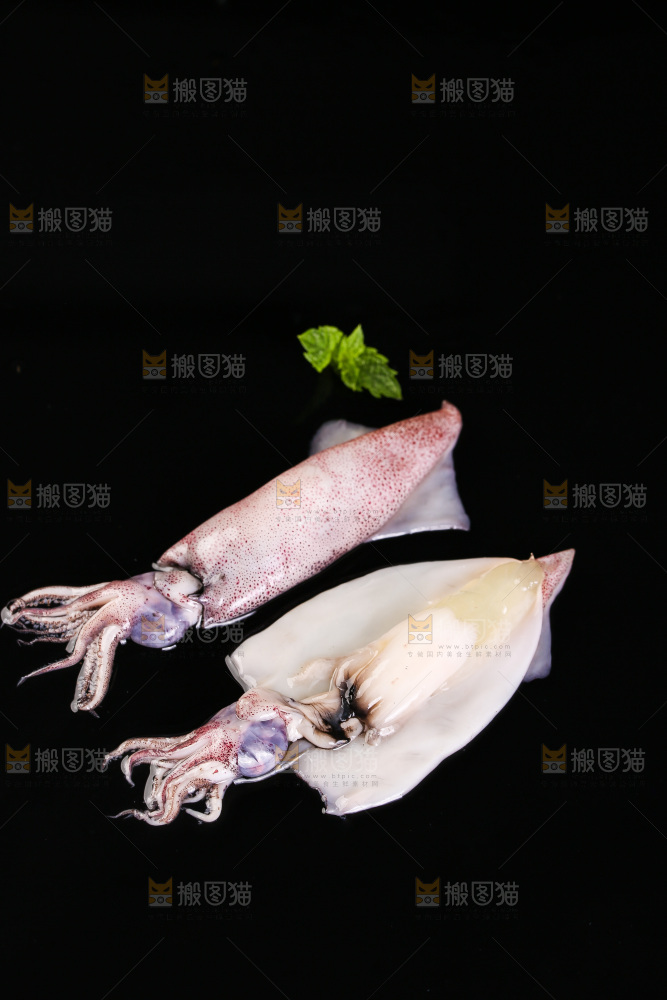 黑底上的海兔
