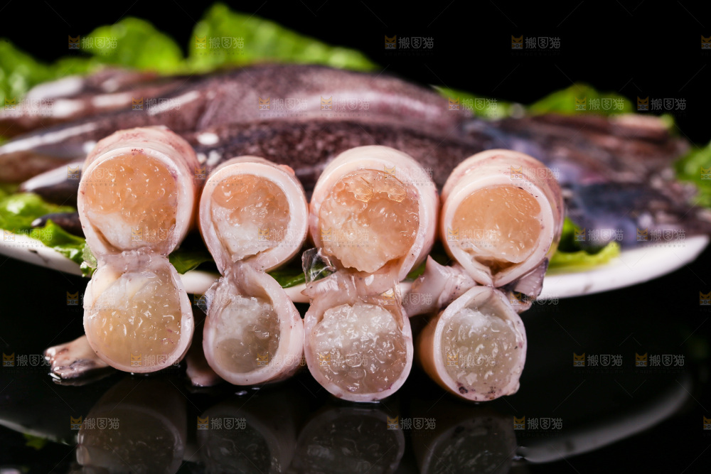 黑底上的海兔