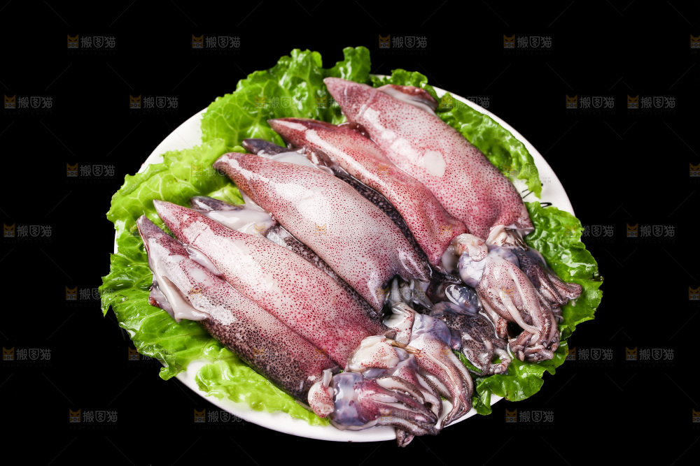 黑底上的海兔