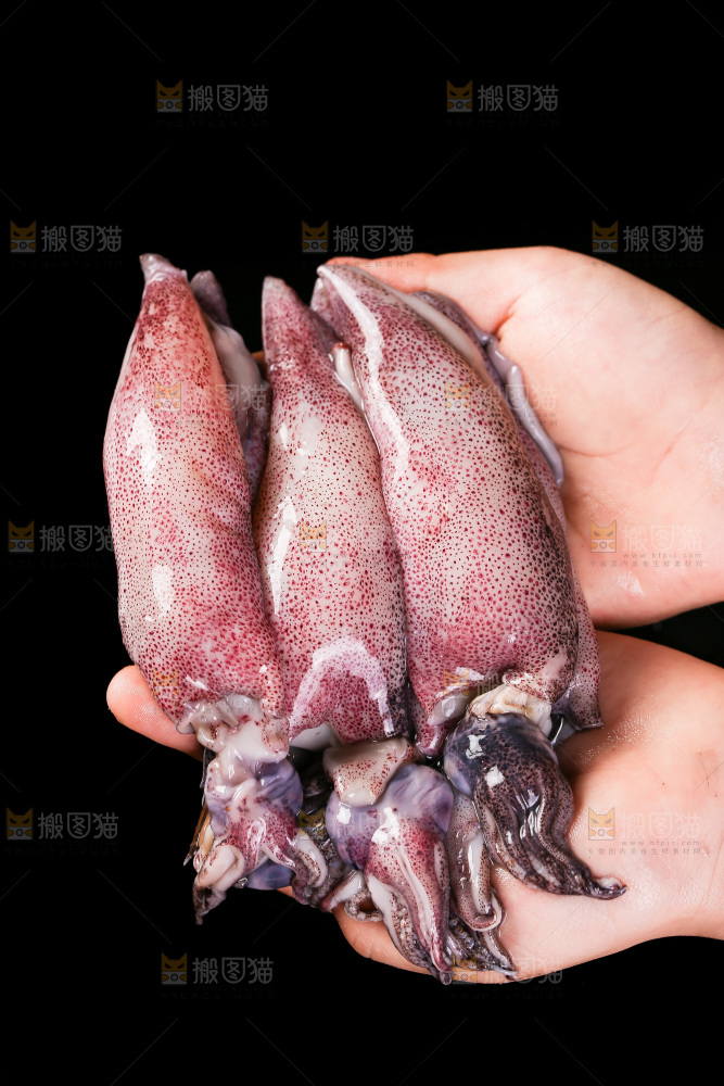 黑底上的海兔