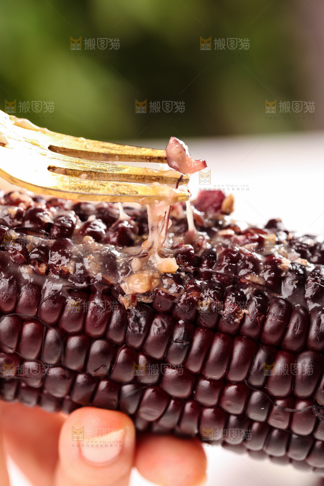 浅底上的黑糯玉米