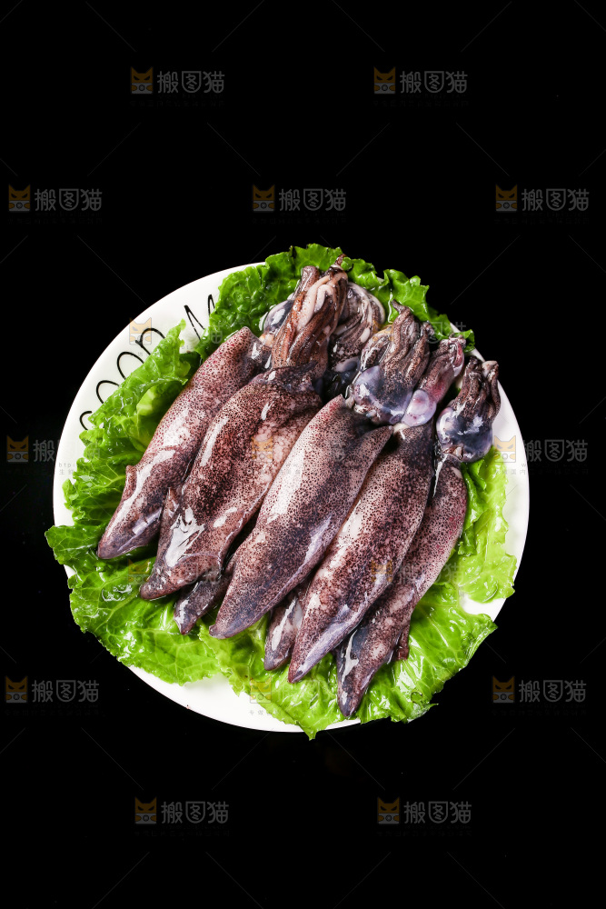 黑底上的海兔