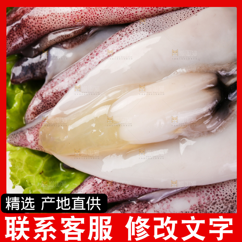 黑底上的海兔