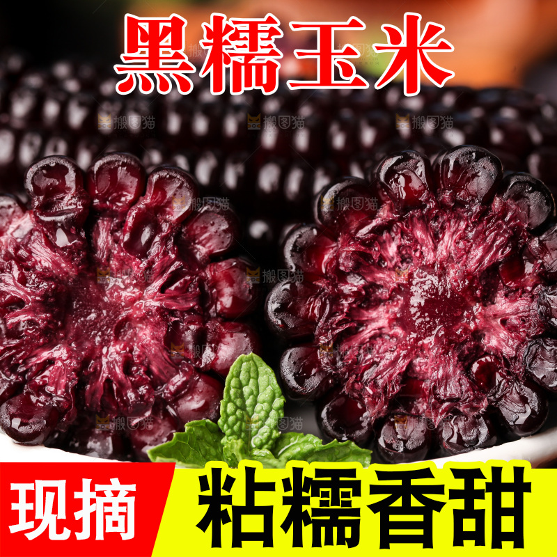 浅底上的黑糯玉米