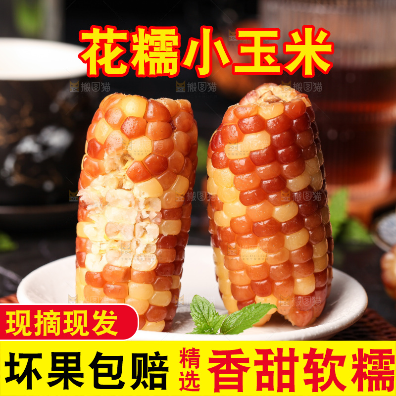 深底上的小花糯玉米